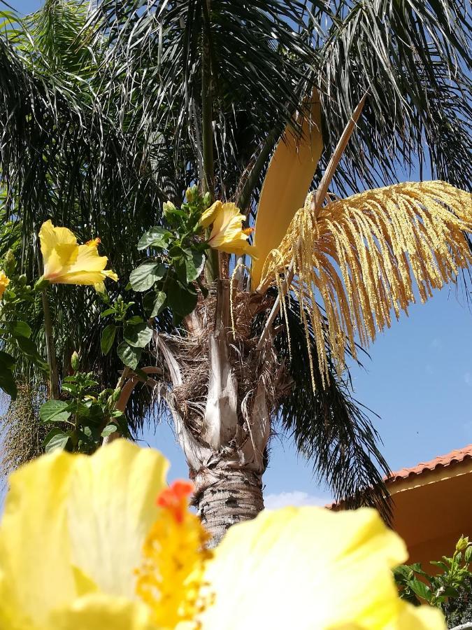 Villa Concordia Villaggio Mosè Eksteriør billede